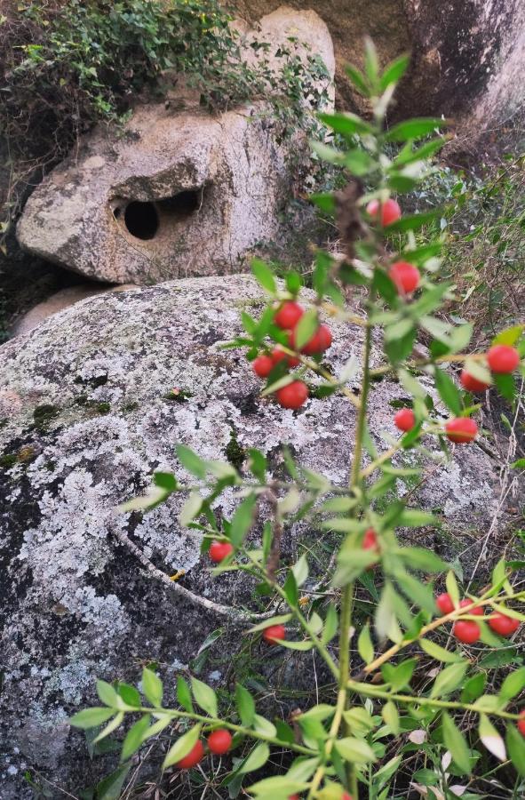 Apartamento Su Skusorgiu Tortolì Exterior foto